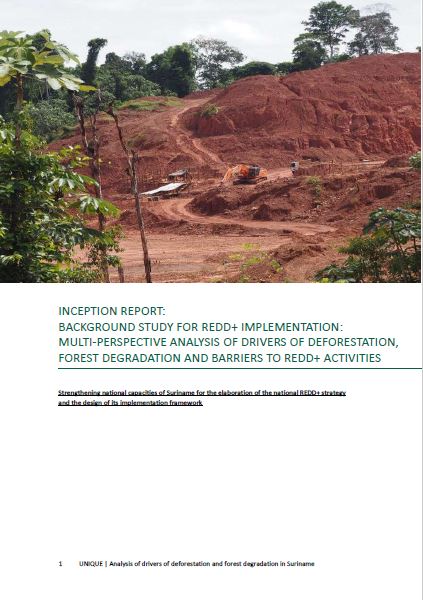 DDFDB+ inception report.JPG