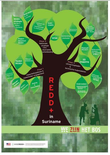 REDD+ inception workshop.JPG