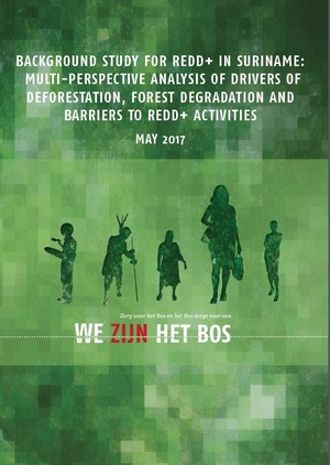 Cover Photo DDFDB.jpg